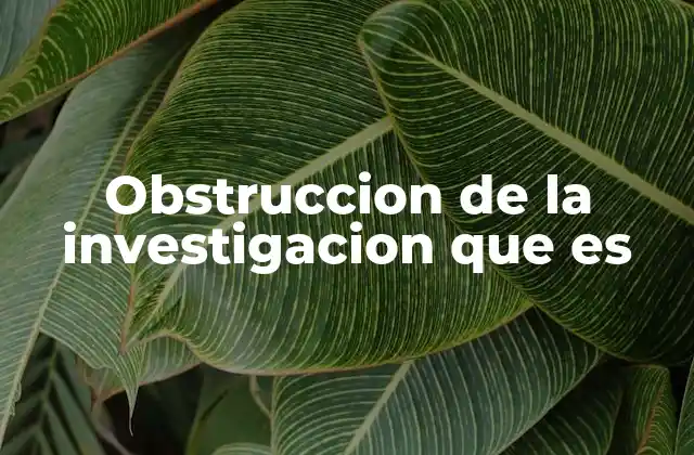 Obstruccion de la Investigacion que es