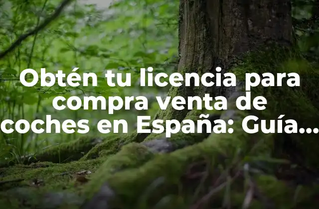 Obtén Tu Licencia para Compra Venta de Coches en España: Guía Completa