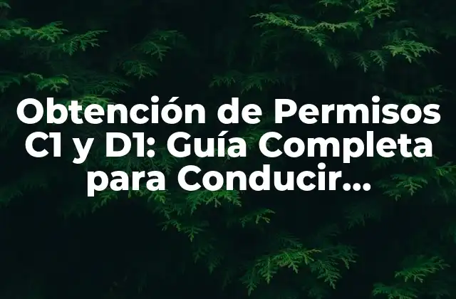 Obtención de Permisos C1 y D1: Guía Completa para Conducir Vehículos Comerciales