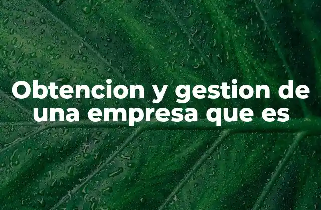 Obtencion y Gestion de una Empresa que es