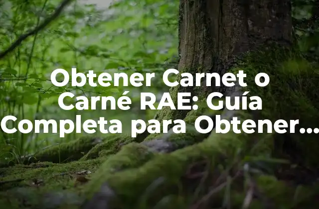 Obtener Carnet o Carné Rae: Guía Completa para Obtener el Certificado de Español