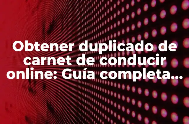 Obtener Duplicado de Carnet de Conducir Online: Guía Completa y Rápida