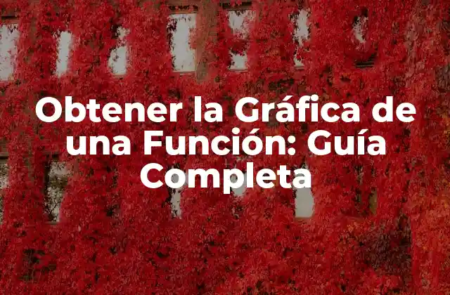 Tipos de Gráficas de Funciones