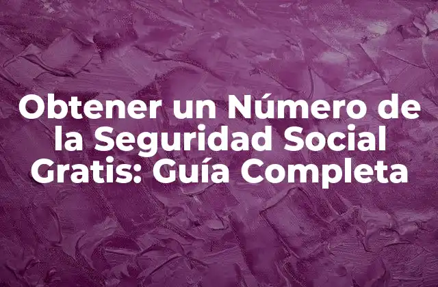 Obtener un Número de la Seguridad Social Gratis: Guía Completa