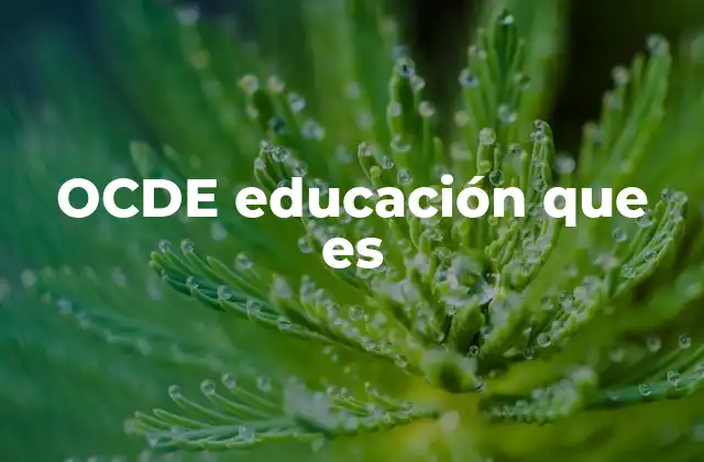 Ocde Educación que es 2 El rol de la OCDE en la transformación educativa