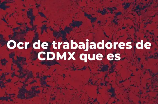 Ocr de Trabajadores de Cdmx que es 2 La importancia de contar con certificaciones laborales oficiales