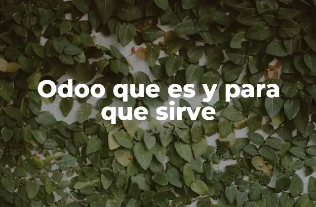 Odoo que es y para que Sirve
