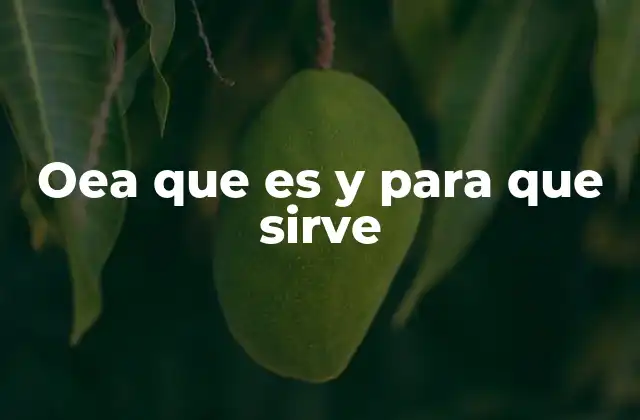 Oea que es y para que Sirve 2 La importancia de la OEA en la integración hemisférica