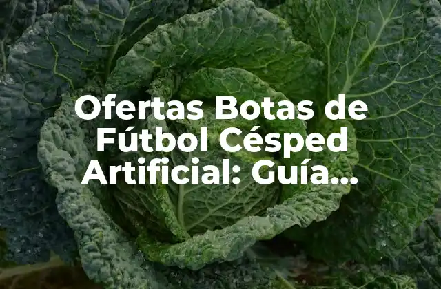 ¿Qué son las Botas de Fútbol Césped Artificial?