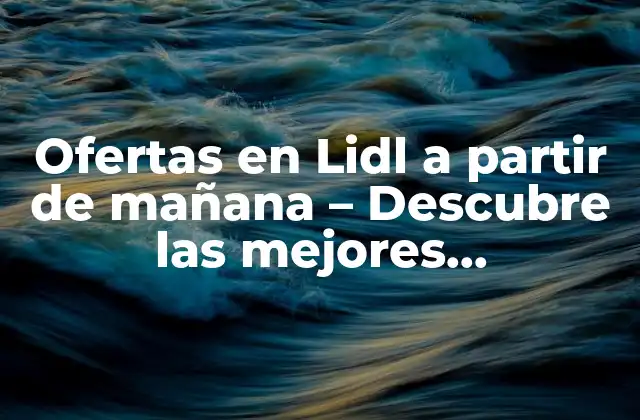 Ofertas en Lidl a Partir de Mañana – Descubre las Mejores Promociones