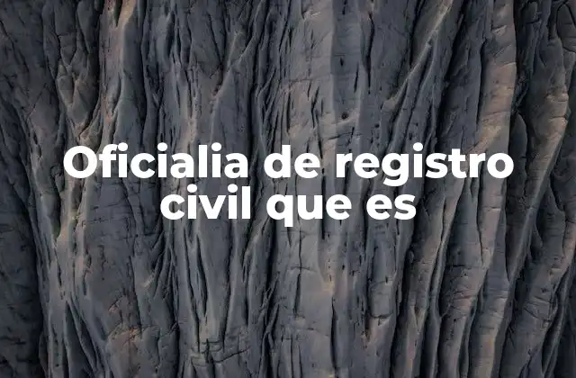 Oficialia de Registro Civil que es