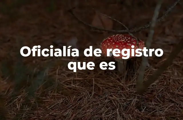 Oficialía de Registro que es 2 El papel de las oficialías en la seguridad jurídica
