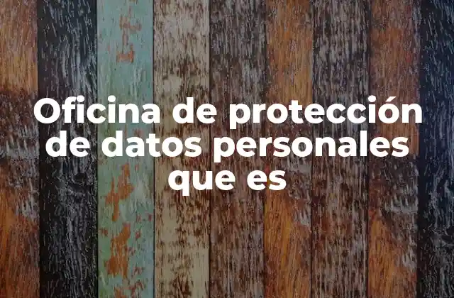 Oficina de Protección de Datos Personales que es 2 La importancia de un ente regulador en la era digital