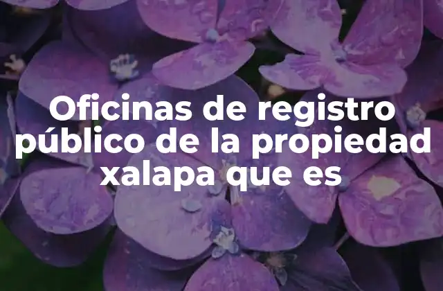 Oficinas de Registro Público de la Propiedad Xalapa que es