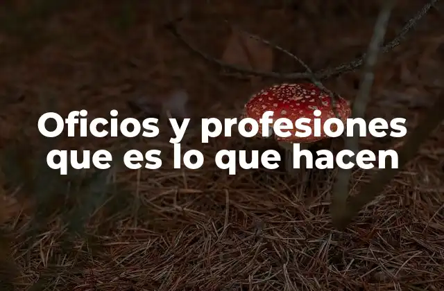 Oficios y Profesiones que es Lo que Hacen