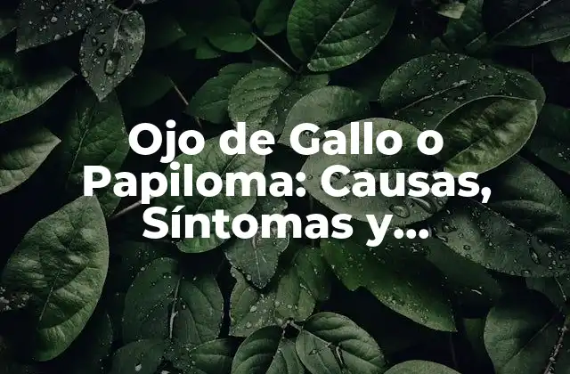 Ojo de Gallo o Papiloma: Causas, Síntomas y Tratamientos 2 ¿Qué son los Papilomas?