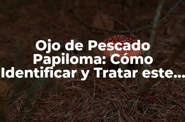 Ojo de Pescado Papiloma: Cómo Identificar y Tratar Este Problema Común