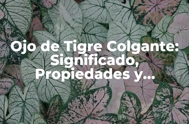 Ojo de Tigre Colgante: Significado, Propiedades y Beneficios