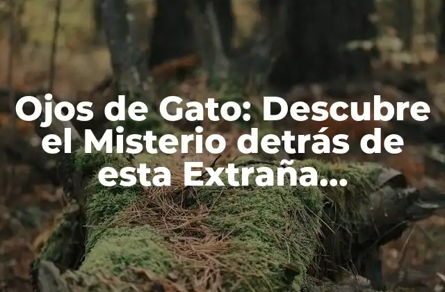 Ojos de Gato: Descubre el Misterio Detrás de Esta Extraña Formación de la Naturaleza