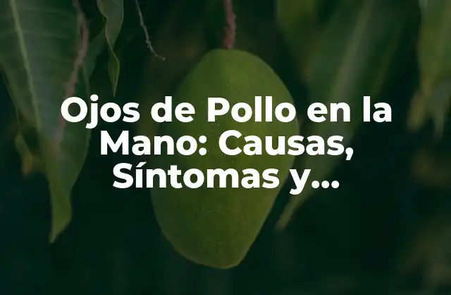 Ojos de Pollo en la Mano: Causas, Síntomas y Tratamientos