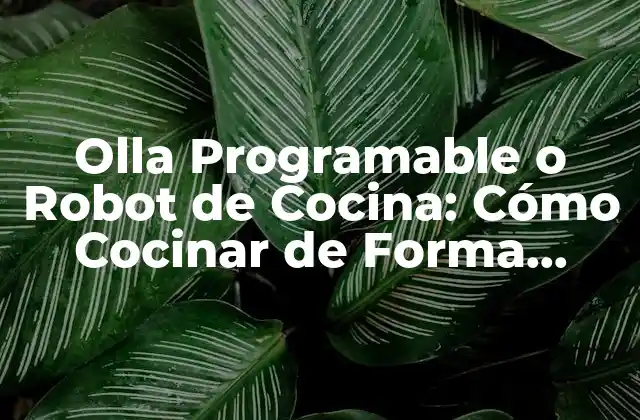 ¿Qué es una Olla Programable o Robot de Cocina?