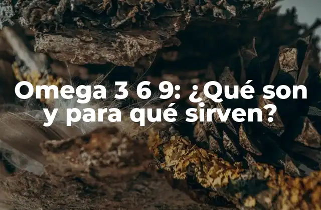 Omega 3 6 9: ¿qué Son y para Qué Sirven?