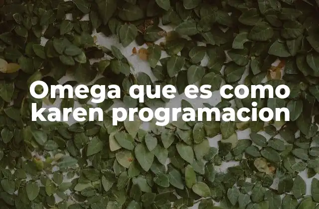 Omega que es como Karen Programacion