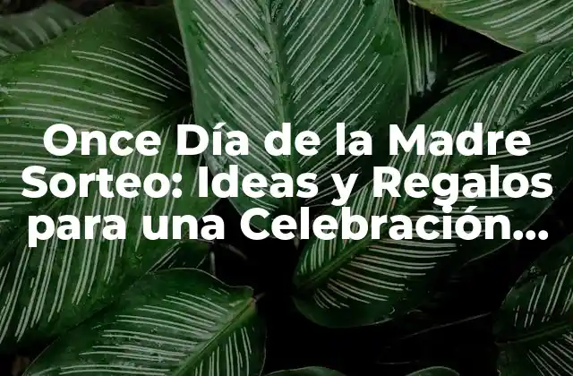 Once Día de la Madre Sorteo: Ideas y Regalos para una Celebración Inolvidable