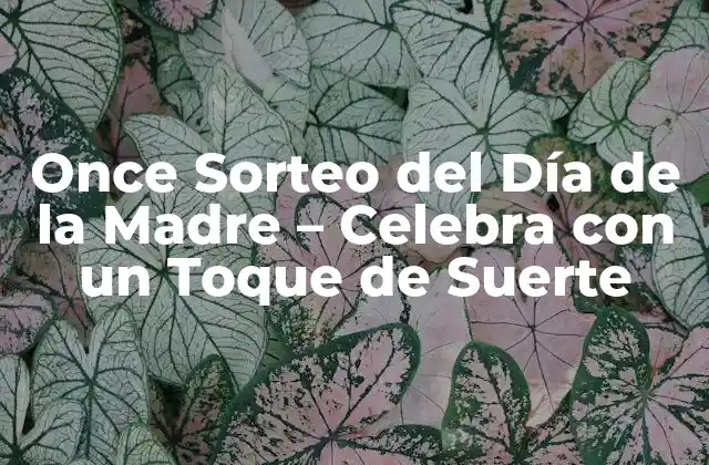 Orígenes del Once Sorteo del Día de la Madre
