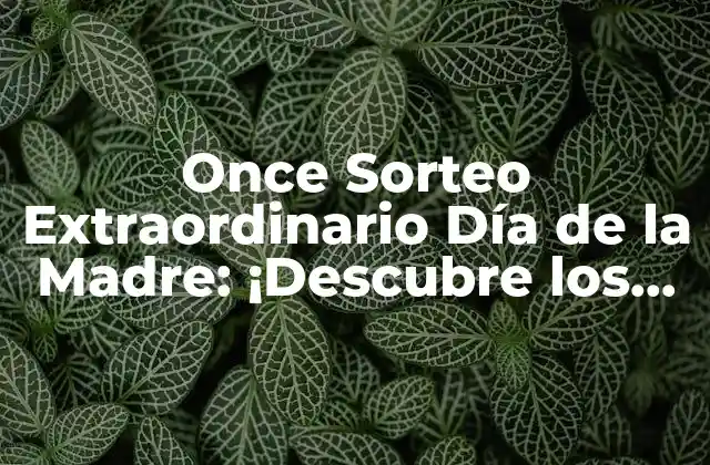 Once Sorteo Extraordinario Día de la Madre: ¡descubre los Mejores Premios!