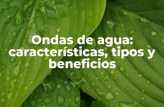 Ondas de Agua: Características, Tipos y Beneficios 2 Características de las ondas de agua