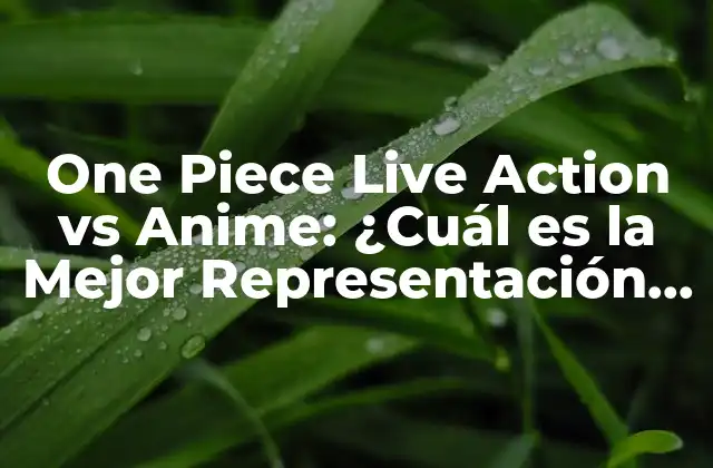One Piece Live Action Vs Anime: ¿cuál es la Mejor Representación de los Personajes?