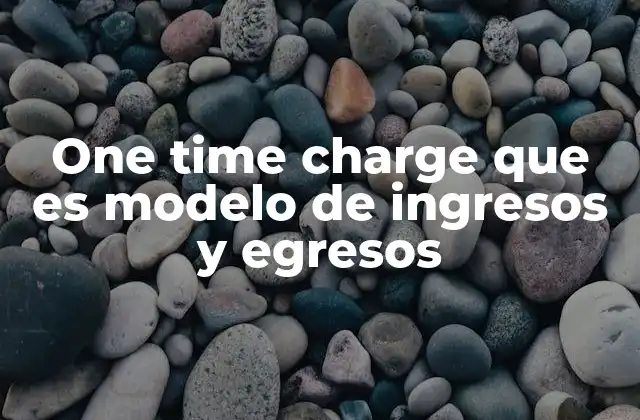 One Time Charge que es Modelo de Ingresos y Egresos