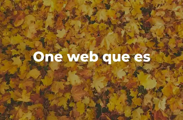 One Web que es