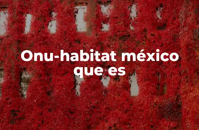 Onu-habitat México que es