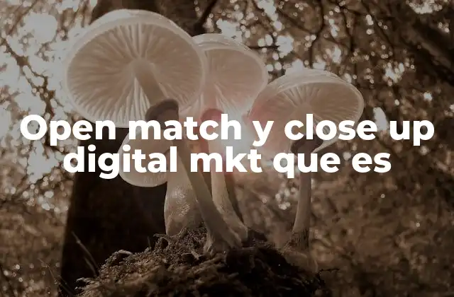 Open Match y Close Up Digital Mkt que es 2 Estrategias de segmentación en marketing digital