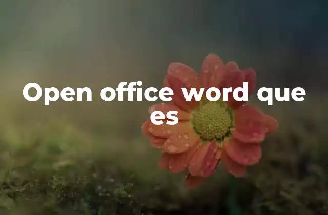 Open Office Word que es