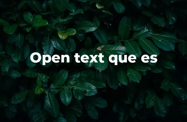 Open Text que es