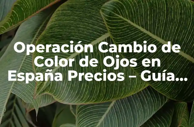 Operación Cambio de Color de Ojos en España Precios – Guía Completa