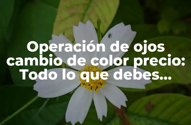 Operación de Ojos Cambio de Color Precio: Todo Lo que Debes Saber