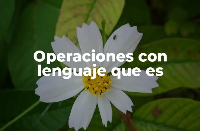 Operaciones con Lenguaje que es