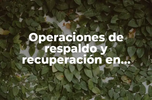 Operaciones de Respaldo y Recuperación en Informática que es