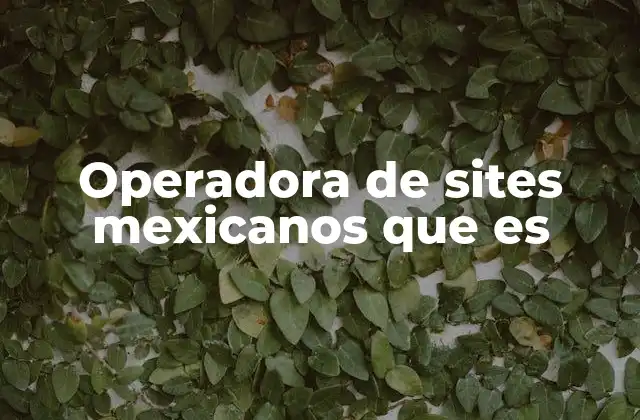 Operadora de Sites Mexicanos que es