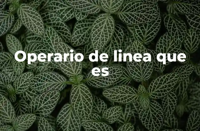 Operario de Linea que es