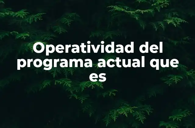 Operatividad Del Programa Actual que es