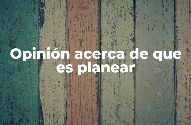 Opinión Acerca de que es Planear