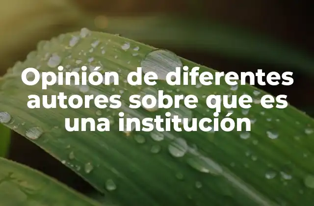 Opinión de Diferentes Autores sobre que es una Institución