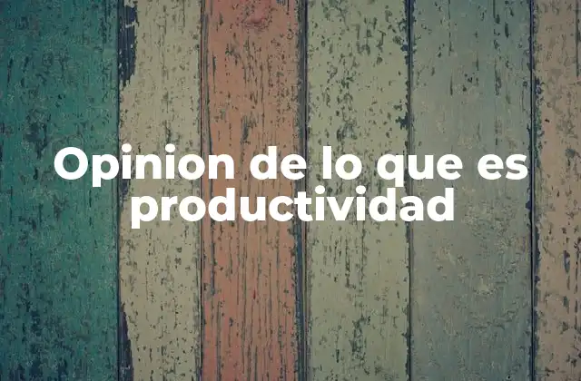 Opinion de Lo que es Productividad