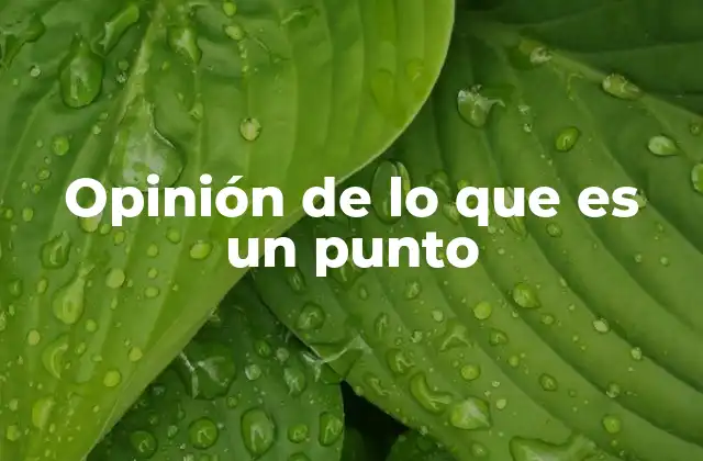 Opinión de Lo que es un Punto
