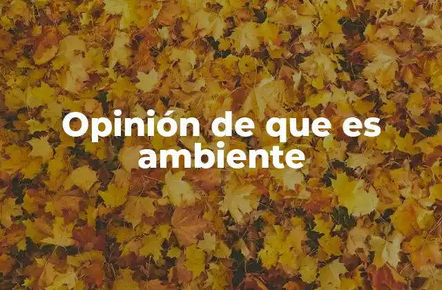 Opinión de que es Ambiente